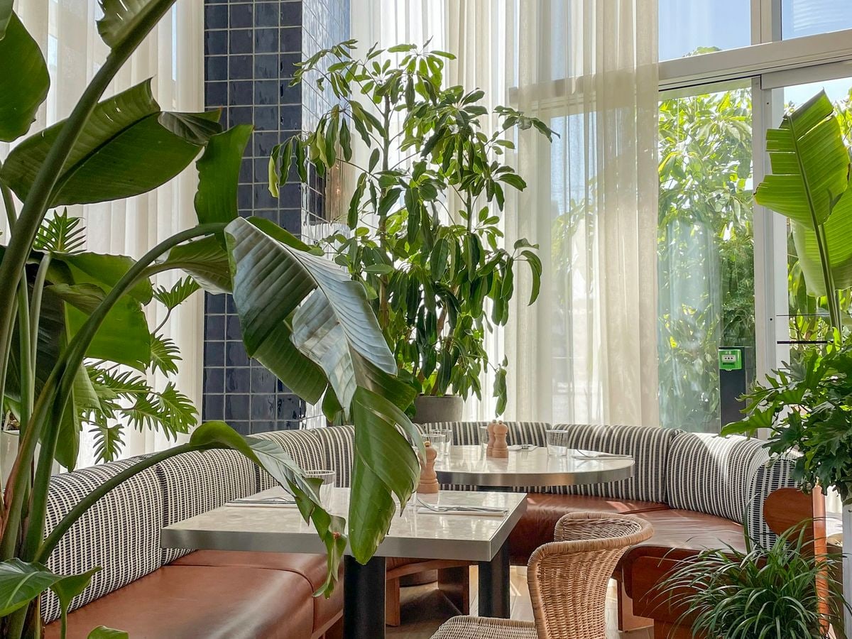 Heller Gastraum mit Fensterfront, Pflanzen und Sitzbank